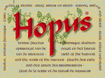 Hopus Magnum
